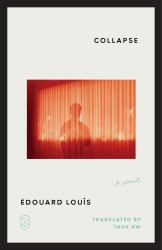 Collapse : A Novel
