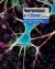 Neuroscience at a Glance Neuroscience at a Glance