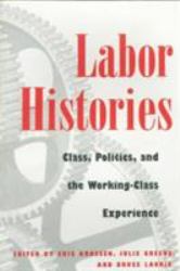 Labor Histories : Class, Politics, and the Working-Class Experience