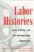 Labor Histories : Class, Politics, and the Working-Class Experience