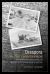 Diaspora in the Countryside : Two Mennonite Communities and Mid-Twentieth-Century Rural Disjuncture