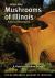 Edible Wild Mushrooms of Illinois and Surrounding States Edible Wild Mushrooms of Illinois and Surrounding States