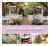 Prairie Style Weddings : Rustic and Romantic Farm, Woodland, and Garden Celebrations
