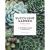 Succulent Garden Notecards : 20 Different Cards and Envelopes