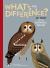 What's the Difference? : 40+ Pairs of the Seemingly Similar