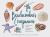 The Beachcomber's Companion : An Illustrated Guide to Collecting and Identifying Beach Treasures