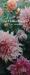 Floret Farm's Cut Flower Garden List Ledger : (Mother's Day Gift, Gardener's Gift, Dahlia Notebook)