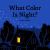 What Color Is Night? What Color Is Night?