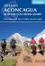 Aconcagua and the Southern Andes : Horcones Valley (Normal) and Vacas Valley (Polish Glacier) Ascent Routes