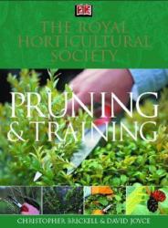 Pruning and Training