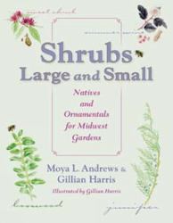 Shrubs Large and Small : Natives and Ornamentals for Midwest Gardens