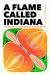 A Flame Called Indiana : An Anthology of Contemporary Hoosier Writing