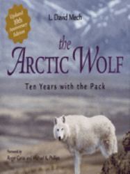 The Arctic Wolf : Ten Years with the Pack