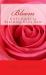 Bloom : Girl's Guide to Becoming God's Rose