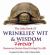 The Little Book of Wrinklies' Wit and Wisdom Forever