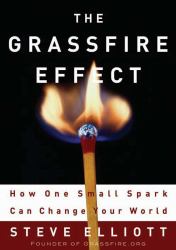 The Grassfire Effect : How One Small Spark Can Change Your World