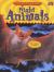 Night Animals Night Animals