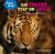 Do Tigers Stay up Late O/P
