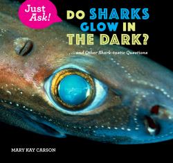 Do Sharks Glow in the Dark