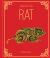 Year of the Rat Year of the Rat