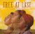 Free at Last : A Juneteenth Poem