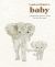 LouLou Baker's Baby : A Keepsake Memory Book