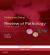 Robbins and Cotran Review of Pathology