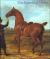 The Essential Horse The Essential Horse