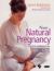 New Natural Pregnancy : Practical Wellbeing from Conception to Birth