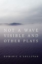 Not a Wave Visible and Other Plays