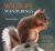 Wildlife Wanderings