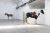 Lara Nickel (Multi-Lingual Edition) : 12 Horses - Homage to Jannis Kounellis