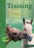 Training Your Foal : Raising a Foal from Birth to Backing