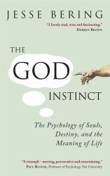 The God Instinct : The Psychology of Souls, Destiny and the Meaning of Life