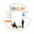 Lifestyle Pre-Intermediate CD-ROM for Pack