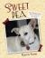 Sweet Pea : The Homeless Dog Who Could Not Be Caught