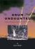 Brum Undaunted
