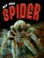 Spider Spider