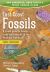 East Coast Fossils : A Visual Guide to Fossils, Rocks and Minerals in the Maritime Provinces