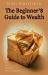 The Beginner's Guide to Wealth : To the Young People of the World