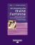 Embracing the Divine Feminine : Finding God Through the Ecstasy of Physical Love - the Song of Songs Annotated and Explained