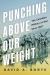 Punching above Our Weight : The Canadian Military at War Since 1867
