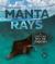 Manta Rays : A Deep Dive into the Unknown Manta Rays : A Deep Dive into the Unknown