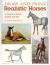 Draw and Paint Realistic Horses : Projects in Pencil, Acrylics and Oills