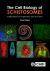 The Cell Biology of Schistosomes : Implications for Diagnostics and Vaccines