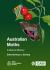 Australian Moths : A Natural History