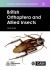 British Orthoptera and Allied Insects