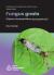 Fungus Gnats (Diptera - Mycetophilidae, Mycetophilinae)