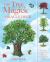 The Tree Magick Oracle Deck : Includes 52 Cards and a 64-Page Illustrated Book