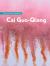 Cai Guo-Qiang : The Artist's Materials